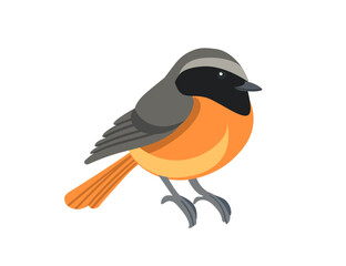 Cute common redstart bird in resting position. Cartoon animal design, stylized bird with grey and orange feathers. Vector illustration isolated on white background