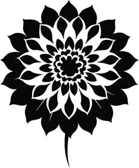 Black and white dahlia silhouette