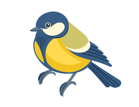 Cute tit bird in resting position. Cartoon animal design, stylized bird with blue and yellow feathers. Vector illustration isolated on white background