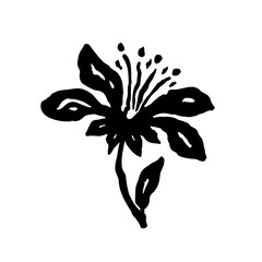Inky abstract flower sketch isolated on white. Black silhouette of minimalist doodle floral. Hand drawn botanical illustration