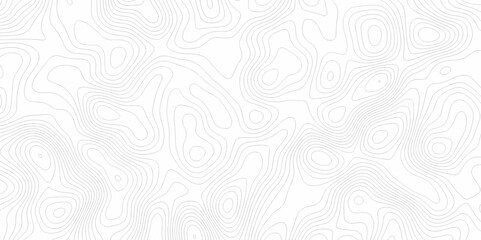 Abstract Topographic map background with wave line. Panorama view gradient multicolor wave curve lines banner background design. Vector illustration. wave Line topography map contour background.	