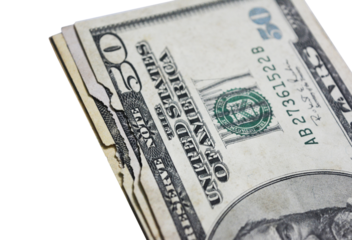 US Dollars eaten by termites