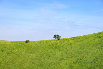 Beautiful Green Landscape of Mt. Omuro's Crater, Izu, Japan