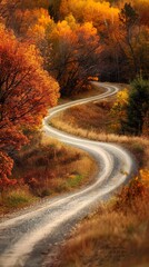 Fototapeta premium Country road winding through a forest with fall colors, fall foliage, rural beauty