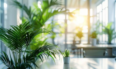Fototapeta premium Modern Corporate Office Interior: Bright Corridors with Green Plants, Sleek Workspaces, and Meeting Rooms. Newly Renovated Professional Environment Showcasing Contemporary Design and Corporate Culture