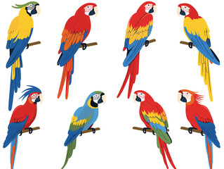 Eight colorful parrots perched, vivid plumage red, blue, yellow, green feathers. Exotic tropical birds, various poses, macaws illustration, wildlife theme. Cartoon style parrots, bright avian