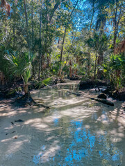 Florida spring
