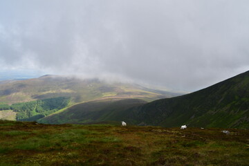 Knockmealdown Mountains, border of Co. Tipperary and Co. Waterford, Ireland