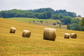 Bottes de paille ronde dans un champ en pente &agrave; Carla-Bayle