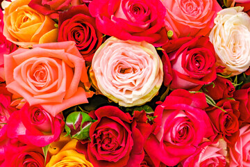 rosebuds flowers in bouquet, top view, close-up