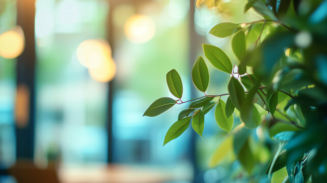 Abstract out-of-focus cafe interior with an abundance of green plants and bokeh lighting
