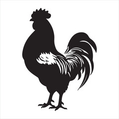 Rooster and chicken silhouette white background
