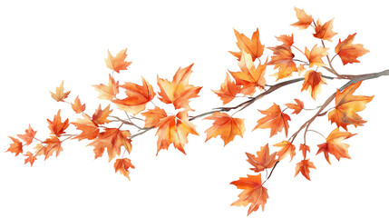 Fototapeta premium A watercolor painting of a tree branch with many leaves isolated on a transparent background