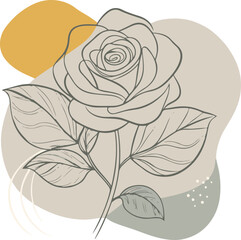 rose line art vector illustration with color blobs style