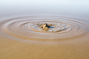 bubbling escaping gas on surface of mud lake