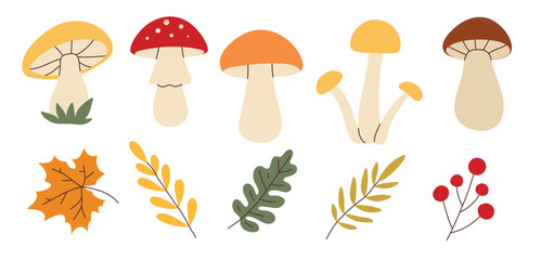 Simple flat style mushrooms and autumn leaves set