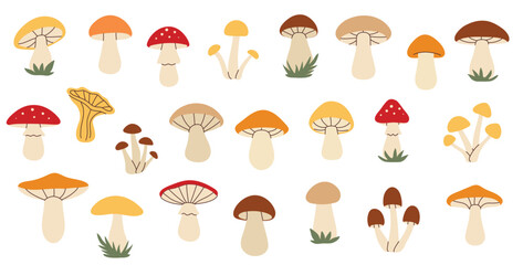 Simple flat style mushrooms set. Hand drawn cute and cozy design elements. Fall, autumn season