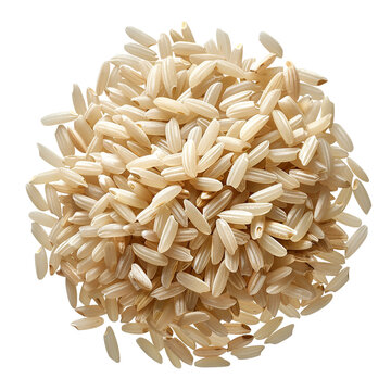 recommend clip art: Arborio rice clip art