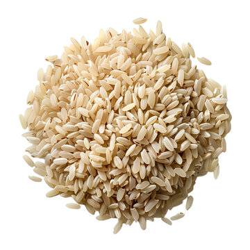 recommend clip art: Arborio rice clip art