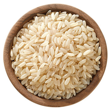 recommend clip art: Arborio rice clip art