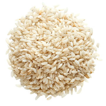 recommend clip art: Arborio rice clip art