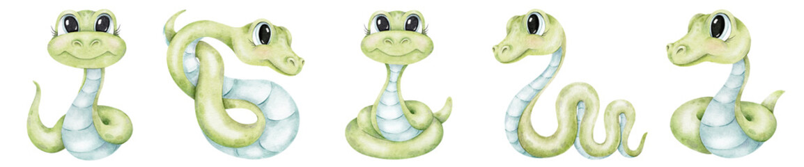 Fototapeta premium Set of Cute green snakes. Isolated hand drawn watercolor Baby illustration. Symbol 2025 Chinese Year. For Christmas Cards, Scrapbooking, Textile, Sublimation printing