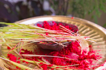 Tika Thali Dashain Hindu Festival Celebration Durga Puja with kalash, diya, vemillion rice, jamara