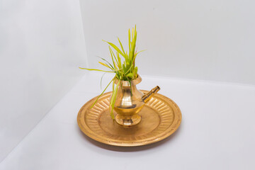 Barley Grass Seeds Jamara on a Leaf Bowl Plates for Hindu Dashain Dusshera Festival