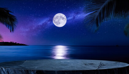 Night sky with full moon over the sea with palm trees