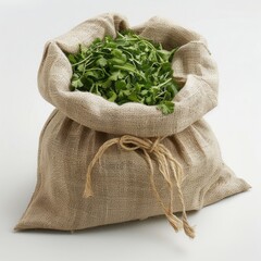 Culantro on sack, isolated on a white background, bright and vivid tonality, in the style of product photography.