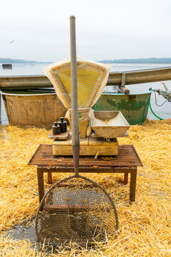 Fishing net and scale ready for fish harvest on Rozmberk Pond, UNESCO Biosphere, Trebon, Jindrichuv Hradec District, South Bohemian Region, Czech Republic (Czechia), Europe