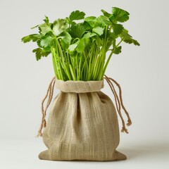 Culantro on sack, isolated on a white background, bright and vivid tonality, in the style of product photography.