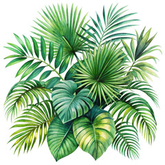 Watercolor clipart palm leaf clusters, layered and lush, tropical greens, transparent background