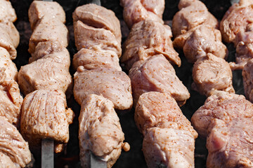 raw meat are fried on metal skewers over coals