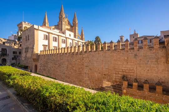 View of Cathedral-BasA�lica de Santa MarA�a de Mallorca from Seo Garden, Palma de Mallorca, Majorca, Balearic Islands, Spain, Mediterranean, Europe