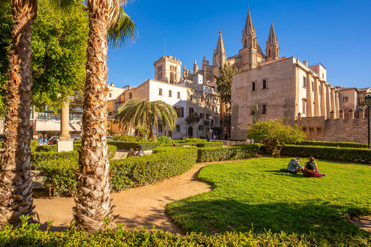 View of Cathedral-BasA�lica de Santa MarA�a de Mallorca from Seo Garden, Palma de Mallorca, Majorca, Balearic Islands, Spain, Mediterranean, Europe