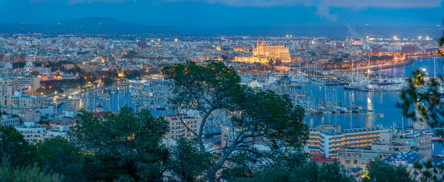 View of city skyline of Palma and cathedral from Castell de Bellver at dusk, Majorca, Balearic Islands, Spain, Mediterranean, Europe