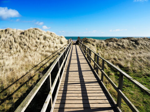 Dunes at the West Sands in St. Andrews, Fife, Scotland, United Kingdom, Europe