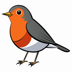Robin on a branch, robin vector illustration, robin vector art, robin silhouette, bird vector icon, eps