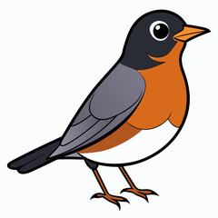 Robin on a branch, robin vector illustration, robin vector art, robin silhouette, bird vector icon, eps