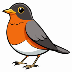 Robin on a branch, robin vector illustration, robin vector art, robin silhouette, bird vector icon, eps