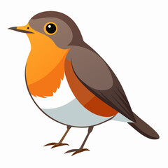 Fototapeta premium Robin on a branch, robin vector illustration, robin vector art, robin silhouette, bird vector icon, eps