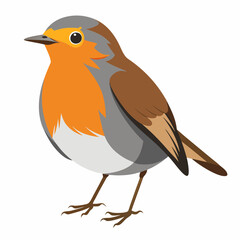 Robin on a branch, robin vector illustration, robin vector art, robin silhouette, bird vector icon, eps
