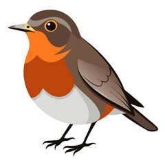 Obraz premium Robin on a branch, robin vector illustration, robin vector art, robin silhouette, bird vector icon, eps