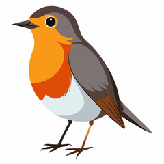 Robin on a branch, robin vector illustration, robin vector art, robin silhouette, bird vector icon, eps