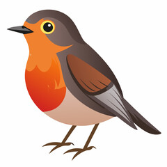 Robin on a branch, robin vector illustration, robin vector art, robin silhouette, bird vector icon, eps