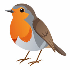 Robin on a branch, robin vector illustration, robin vector art, robin silhouette, bird vector icon, eps