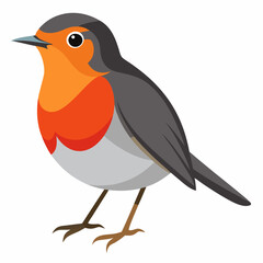 Robin on a branch, robin vector illustration, robin vector art, robin silhouette, bird vector icon, eps
