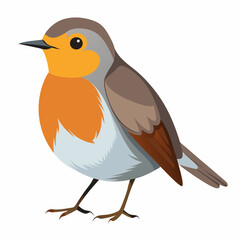 Robin on a branch, robin vector illustration, robin vector art, robin silhouette, bird vector icon, eps
