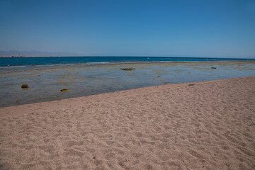Sandy beach on the seashore. Desert at sunset. Yellow sand. Beautiful sky.